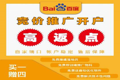 竞价代运营成功案例解析